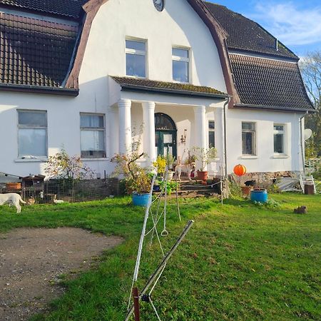 Gutshaus Im Gruenen Lejlighed Poseritz Eksteriør billede